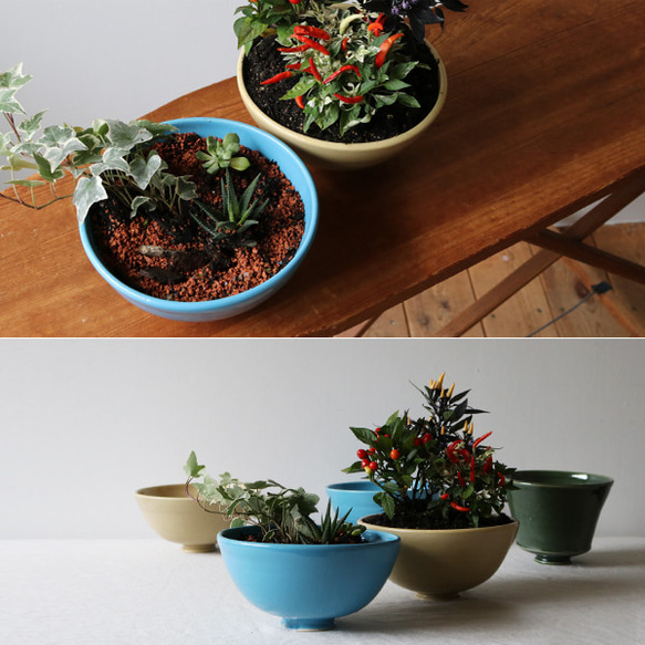 ●SALE●　anvai　陶器 青い鉢植えポット 花鉢　植木鉢　/　盆栽・観葉植物　緑 苔 S73A 6枚目の画像