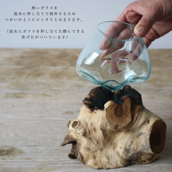 ●SALE●anvaiセレクト流木とBALIガラスのオブジェ花瓶アクアリウムS59G 7枚目の画像