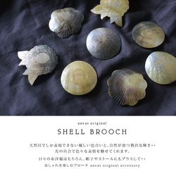 ＊〇。【２個SET】天然貝 anvai オリジナル装うシェル ブローチM32D 7枚目の画像