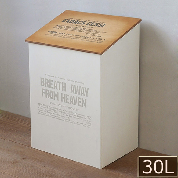 ふた付き ゴミ箱30L ダストボックス  BREA-1595BR&WH 1枚目の画像