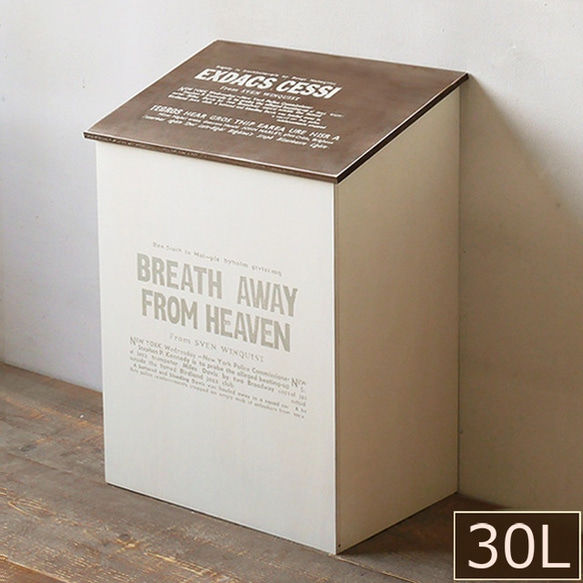おしゃれ ふた付き ダストボックス 30L用 ゴミ箱 BREA-1595DB&WH 1枚目の画像