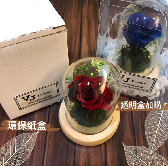 VJflower 迷你玫瑰花盅 永生花。小王子的玫瑰 美女與野獸玫瑰 畢業禮物 辦公小物 生日禮物 情人節禮物 婚禮 第6張的照片