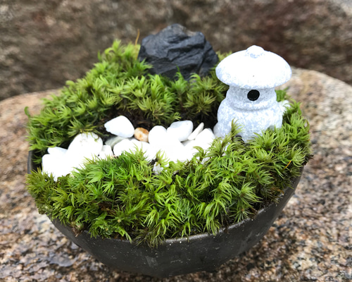 【苔むした古い宝珠・関守石・オブジェ】庭石箱庭苔鉢造園ガーデニングオーナメント 上山市狸森園芸店 Moss Garden｜苔テラリウム・苔盆栽・苔玉販売