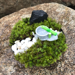 苔庭園ミニ 鹿威しバージョン 2枚目の画像