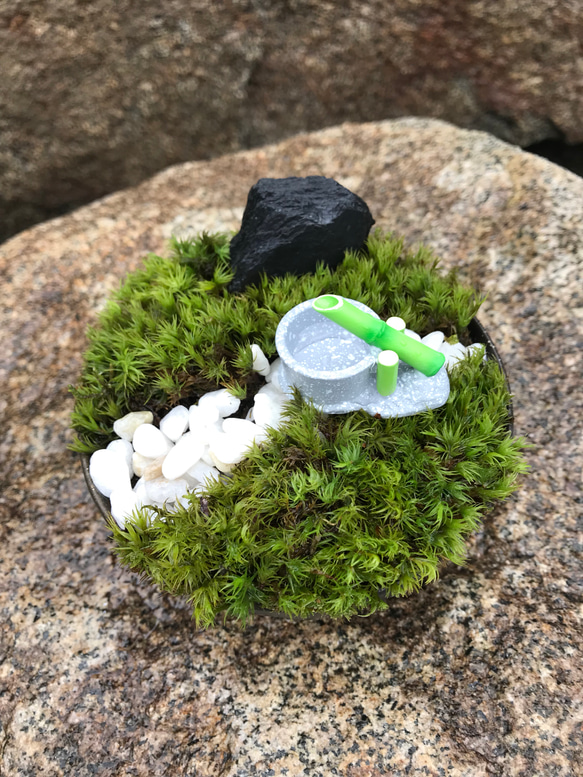 苔庭園ミニ 鹿威しバージョン 2枚目の画像
