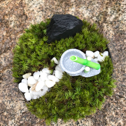 苔庭園ミニ 鹿威しバージョン 3枚目の画像