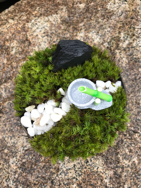 苔庭園ミニ 鹿威しバージョン 3枚目の画像