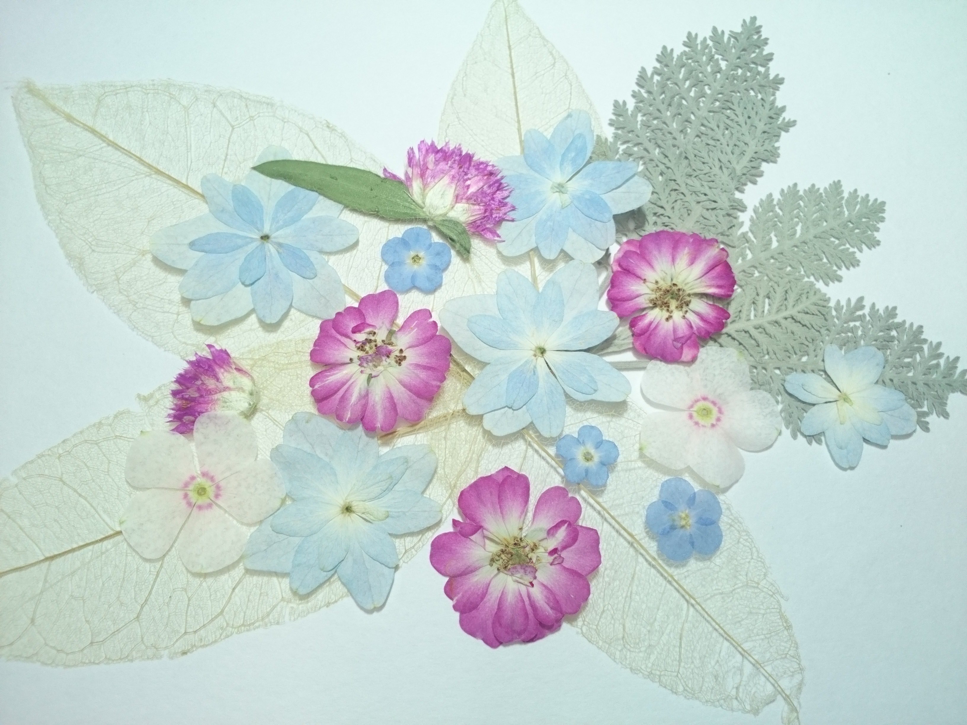 アートフラワー　コテ（台付）と葉脈押し型