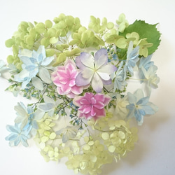 忘れな草のドライフラワー 20ヶ その他素材 karen＊可憐 通販