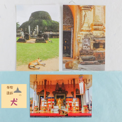 寺院・遺跡の犬 ポストカード 1枚目の画像