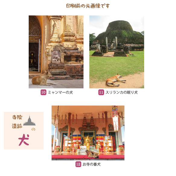 寺院・遺跡の犬 ポストカード 2枚目の画像