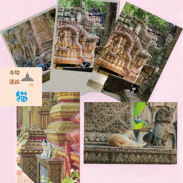 寺院・遺跡の猫 ポストカード 1枚目の画像