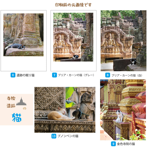 寺院・遺跡の猫 ポストカード 2枚目の画像