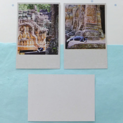寺院・遺跡の猫 ポストカード 4枚目の画像