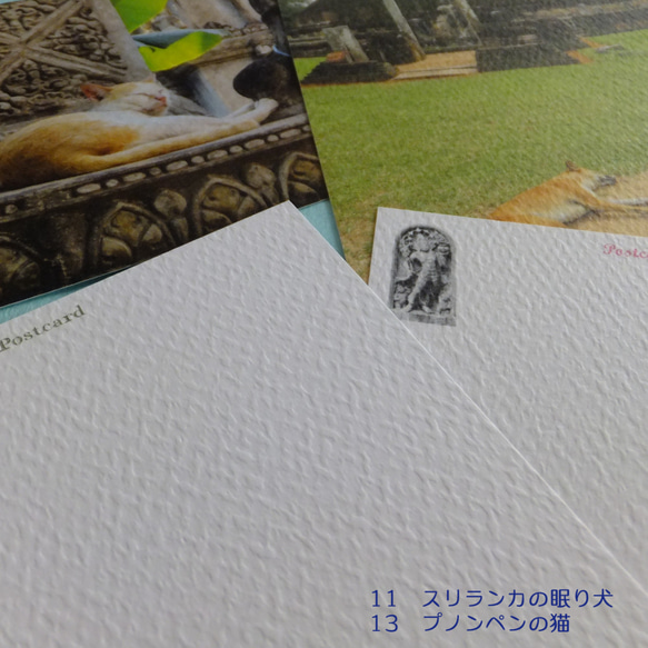 寺院・遺跡の猫 ポストカード 7枚目の画像