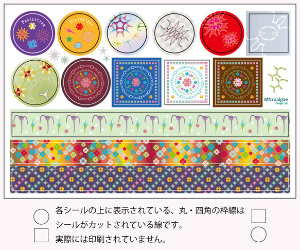 水の華シール - 顕微鏡下の世界 - 微小藻類 2枚目の画像