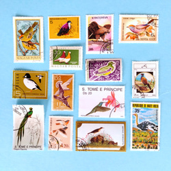 鳥の切手　60枚　外国切手　 1枚目の画像