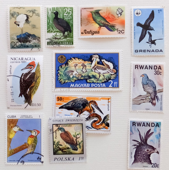 鳥の切手　60枚　外国切手　 3枚目の画像