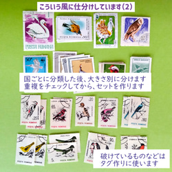 鳥の切手　60枚　外国切手　 10枚目の画像