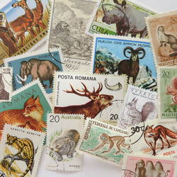 動物の切手　55枚　外国切手　 3枚目の画像