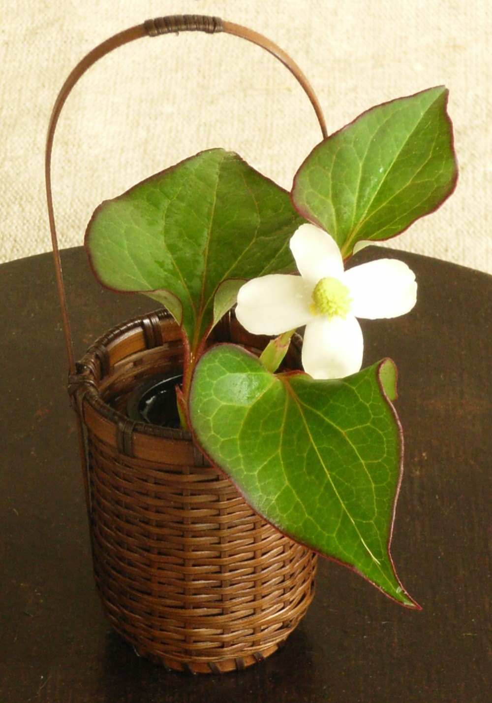 ミニチュア花籠　ゴザメ  (竹製花器・一輪挿し)