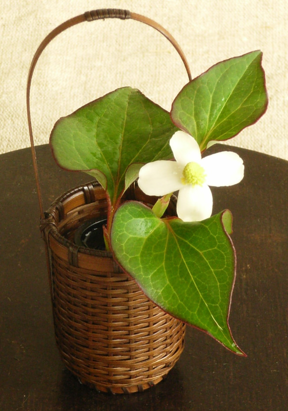 ミニチュア花籠 ゴザメ (竹製花器・一輪挿し) 一輪挿し・花瓶・花器 け  