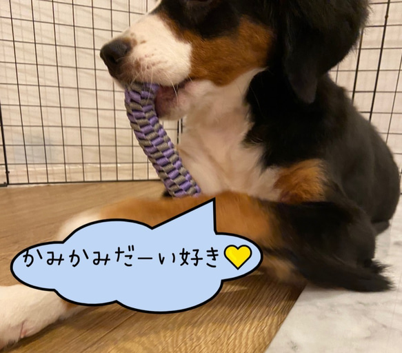 【洗える】ストレス解消やデンタルケア♪ ワンちゃんの噛むロープオモチャ【犬/おもちゃ/頑丈/ロープ/歯石】 3枚目の画像