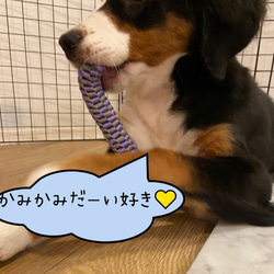 【洗える】ストレス解消やデンタルケア♪ ワンちゃんの噛むロープオモチャ【犬/おもちゃ/頑丈/ロープ/歯石】 3枚目の画像