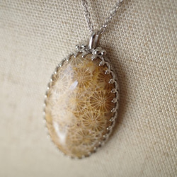 Kaya様✴︎イエローフォッシルコーラルチャーム&フォッシルコーラルネックレス Kaya様✴︎イエローフォッシルコーラルチャーム&フォッシル