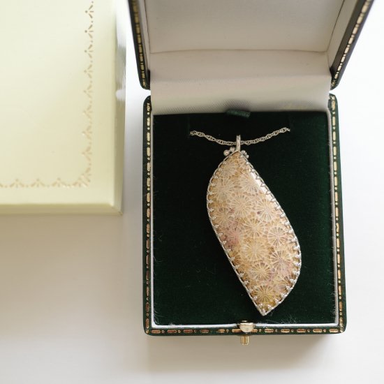 フォッシルコーラル ペンダント(swing) silver925