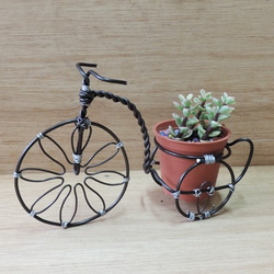 多肉花園 ‧ 手工復古腳踏車【限量販售】 第1張的照片