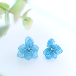 【新色♪】紫陽花（ブルー）のレジンイヤリング 1枚目の画像