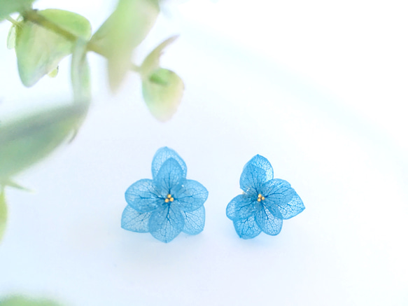 【新色♪】紫陽花（ブルー）のレジンイヤリング 1枚目の画像