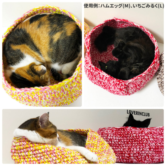 【チョコミント】 まんまる猫ベッド「猫ぶくろ」 手編み 毛糸 2枚目の画像