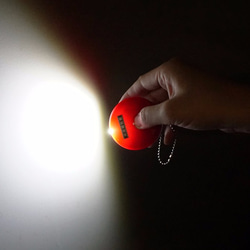 押したいボタン”LEDライト” 2枚目の画像