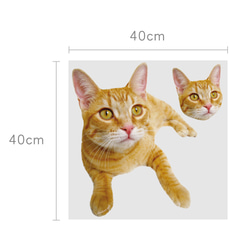 客製化滿版寵物抱枕一大一小  (40cm以內，限同一圖案排一大一小) 第2張的照片