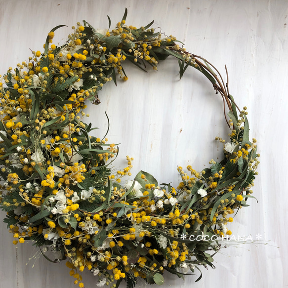 ミモザの春を告げるリース　ドライフラワーリース ミモザの春を告げるリースドライフラワーリース