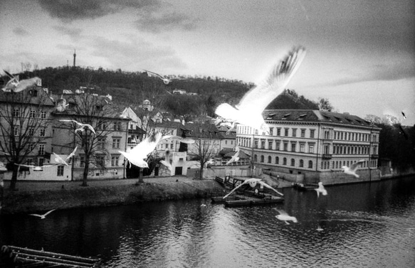 Děkuju in Česko 黑白攝影作品 モノクロ 写真  フィルム 12x16 第1張的照片