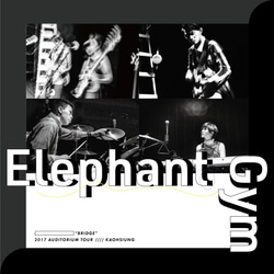 ElephantGym 大象體操 音樂廳巡迴 Miniphotobook フィルム   モノクロ  攝影写真集 第7張的照片