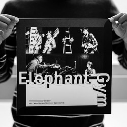 ElephantGym Elephant Gymnastics Concert Hall Tour Miniphotobookフ 8枚目の画像