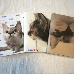 《送料無料》猫写真のペーパーブックカバー 1枚目の画像