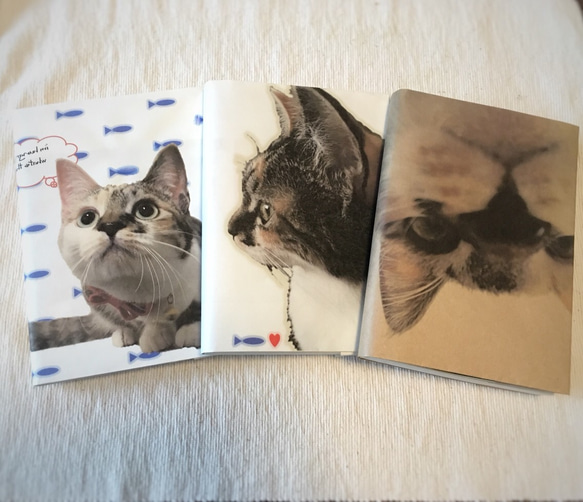 《送料無料》猫写真のペーパーブックカバー 1枚目の画像