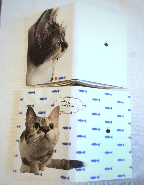 《送料無料》猫写真のペーパーブックカバー 2枚目の画像