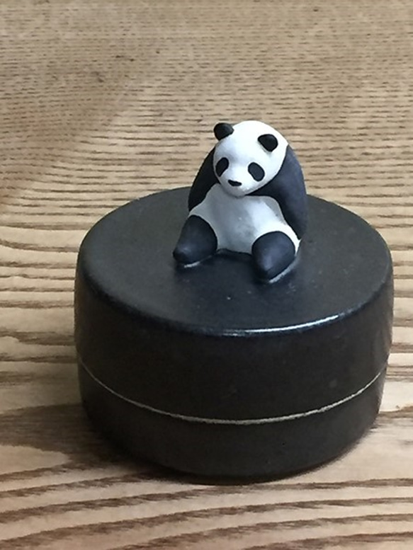 熊貓坐在一起petan小盒子19-1 第1張的照片