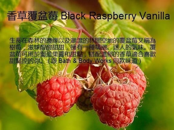 【Miss Jo工藝香氛蠟燭】香草覆盆子蛋糕塔No.10香草覆盆莓Black Raspberry Vanilla 第8張的照片