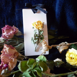 【Miss Jo工藝香氛蠟燭】心之所繫玫瑰情黃色玫瑰物語純潔的友誼和美好的祝福 第5張的照片