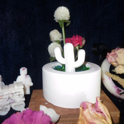 【Miss Jo工藝香氛蠟燭】沙漠玫瑰仙人掌擴香石盆栽燭台&冰河梨香 第2張的照片