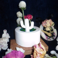 【Miss Jo工藝香氛蠟燭】沙漠玫瑰仙人掌擴香石盆栽燭台&冰河梨香 第8張的照片