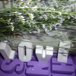 【Miss Jo工藝香氛蠟燭】婚禮的祝福告白字母之L.O.V.E香氛瓷 (白色款) 第3張的照片
