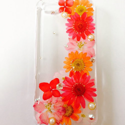 ＊Harun＊ 押し花case④  iPhone5/5s 1枚目の画像